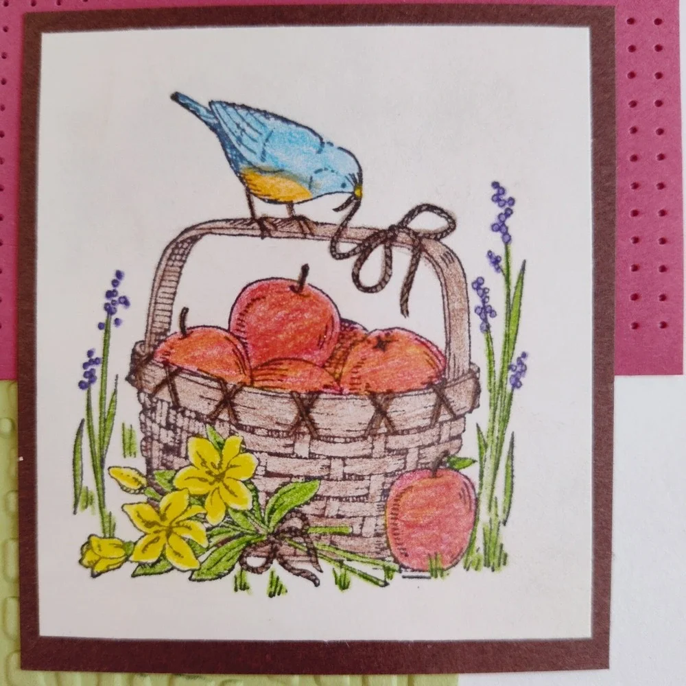 Handmade Card Apple Basket‎ Bluebird Blank Note Card Greeting Card Any Occasion
